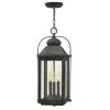 Anchorage 3-Light Ages Zinc Outdoor Pendant Light by HINKLEY