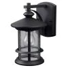 Ryder 1-Light Black Outdoor Wall Lantern Sconce with Seeded Glass by CANARM