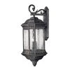 Regal Large 4-Light Black Granite Outdoor Wall Lantern by HINKLEY
