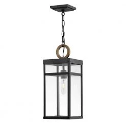 Porter 1-Light Black Outdoor Pendant Light by HINKLEY