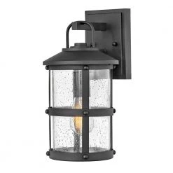 Lakehouse 1-Light Black Outdoor Wall Lantern Sconce by HINKLEY