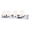 Hampton 4-Light Brushed Pewter Bath Light by CANARM