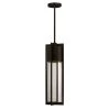Shelter Medium 1-Light Buckeye Bronze Outdoor Hanging Lantern by HINKLEY