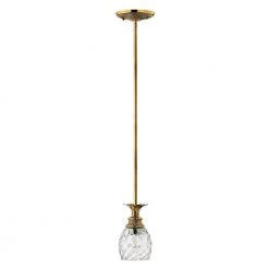 Plantation 1-Light Burnished Brass Standard Mini Pendant by HINKLEY