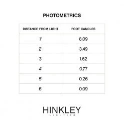 Path Ivy Hardwired Copper and Bronze Path Light by HINKLEY -HINKLEY || CANARM Shop copper bronze hinkley path lights 1508cb ll c3 1000