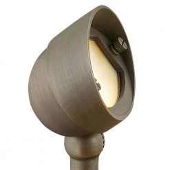 HARDY ISLAND Hardwired Matte Bronze Landscape Flood Light by HINKLEY