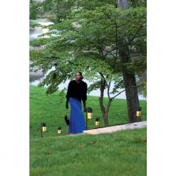 Shelter Hardwired Buckeye Bronze Path Light by HINKLEY -HINKLEY || CANARM Shop dark bronze hinkley path lights 1547kz ll 44 1000