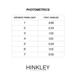 PATH SQUIRREL Hardwired Regency Bronze Path Light by HINKLEY -HINKLEY || CANARM Shop dark bronze hinkley path lights 1568rb ll 1f 1000