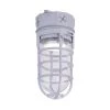 1-Light Grey LED Outdoor Flush Mount Light by CANARM