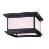 Akello 2-Light Matte Black Outdoor Flush Mount Light by CANARM