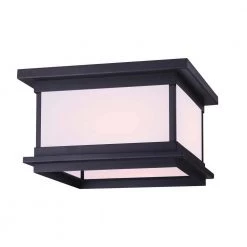 Akello 2-Light Matte Black Outdoor Flush Mount Light by CANARM