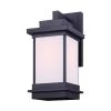Akello 1-Light Matte Black Outdoor Wall Light Sconce by CANARM
