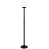 Kahlo 1-Light Matte Black Outdoor Post Lantern by CANARM