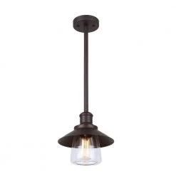 Indi 1-Light Bronze Pendant with Clear Glass by CANARM