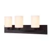 Hampton 3-Light Oil Rubbed Bronze Bath Light by CANARM