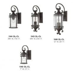 Casa Medium 1-Light Olde Black Outdoor Wall Light Sconce by HINKLEY -HINKLEY || CANARM Shop olde black clear glass hinkley outdoor sconces 1144ol cl 4f 1000