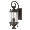 Casa Medium 2-Light Olde Black Outdoor Wall Lantern Sconce by HINKLEY