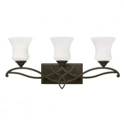 Brooke 24 in. 3-Light Olde Bronze Vanity Light by HINKLEY