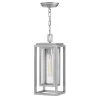Republic 1-Light Satin Nickel Outdoor Pendant Light by HINKLEY